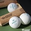 Donic Schildkrot Table Tennis Set