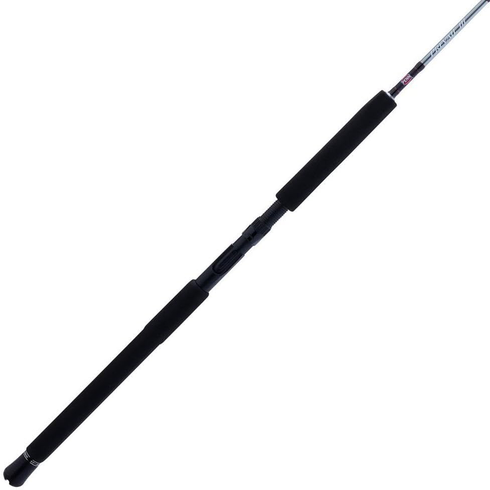 Penn Prevail III Jig Conventional Fishing Rod