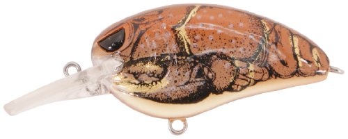 Spro Little John Medium Diving Crank Bait-Pack of 1, Rusty Gold
