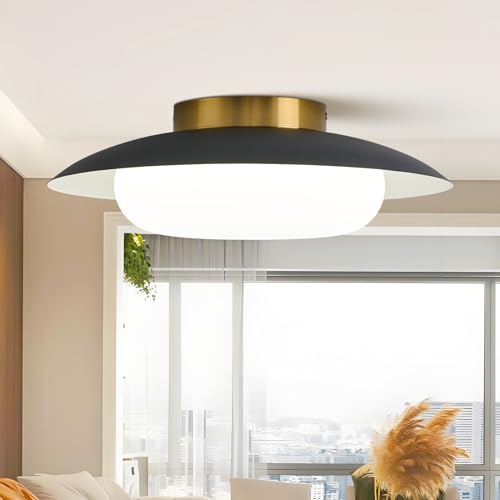 FHKLZCI Modern LED Semi Flush Mount Ceiling Light Fixture,Round Matte