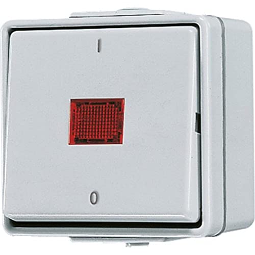 Jung 602KOW Wipp-Kontrollschalter aus 2-polig