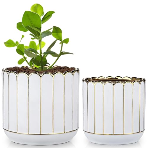 GnFlus Ceramic Plants Pot 6.2+5.3 Inch Petal-Shaped Rim Pots Set of 2 for for Indoor Outdoor Succulent Plants or Flowers Gold and White