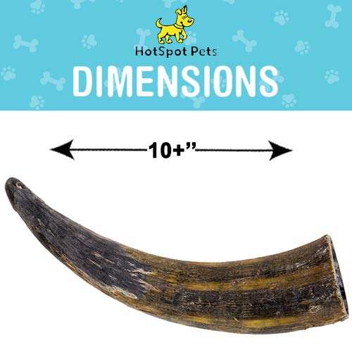 Are Cow Horns Safe For Dogs