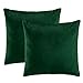 eletecpro Kissenbezug 45x45cm, 2er Set Samt Kissenbezüge mit Verstecktem Reißverschluss, Grün Zierkissenhülle für Sofa und Terrasse Wohnzimmer,Schlafzimmer, Büro in großer Farb- Größenauswahl
