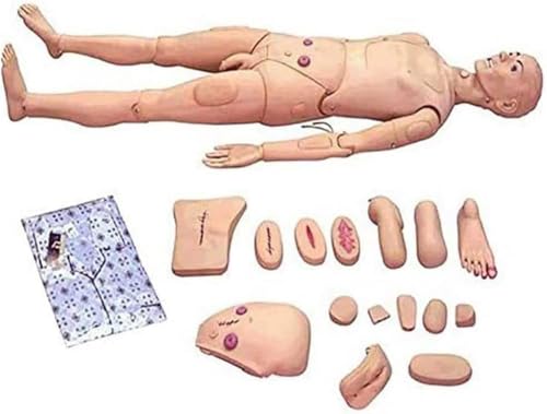 Simulador de entrenamiento de RCP, tamaño real con modelos intercambiables masculinos y femeninos para educación médica y de enfermería