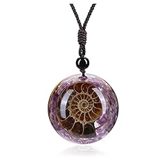Ammonite Fossil - Amethyst