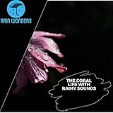 Rain Wonders