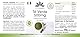 Grüner Tee Extrakt - 90 Kapseln - 1500mg Grüner Tee-Extrakt pro Tagesdosis - EGCG - Camellia sinensis - mind. 50% Polyphenole - vegan | HERBADIREKT by Warnke Vitalstoffe - Deutsche Apothekenqualität