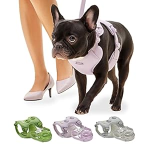 ARRR-No-Pull-Dog-Training-Harness-with-Front-Leash-Clip-with-Soft-Padded-Escape-Proof-Vest-Medium-Small-Sized-Dogs-Reflective-Easy-Control-No-Choke-Handle-Harness-Leash No-Pull Dog Training Harness with Front Leash Clip