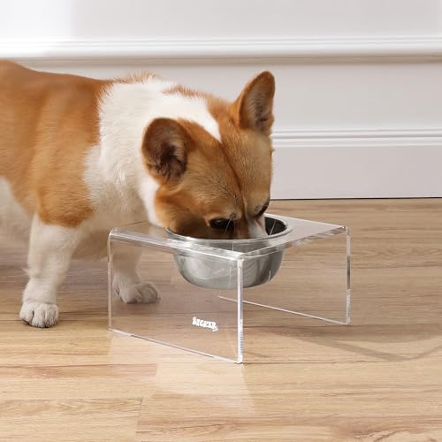 THE LICKER Store DBL2002A Keaton 5" Small/Medium Modern Acrylic Rectangular Elevated Pet Feeder with 20oz 1-Stainless Steel Bowl, Clear/Chrome by THE LICKER STORE - Image 7