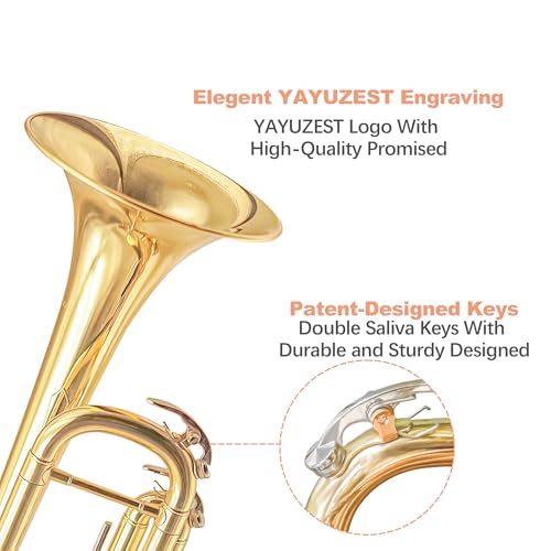 YAYUZEST Bb Standard Trumpet Set for Beginner and Advanced Student, Brass Student Trumpet Instrument with Hard Case, Cleaning Kit, 7C Mouthpiece and Gloves (Gold)