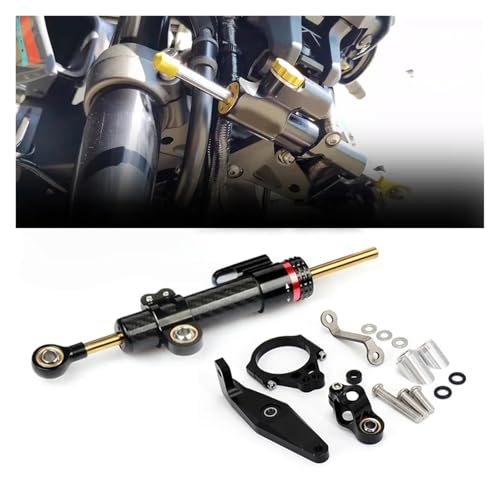 Stabilisateur direction moto contre vibrations guidon kit support MT09 - 2
