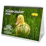 Digitaldruck auf min. 250 g/m² Papier mit Kartonrückwand