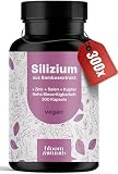 Silizium Komplex – 300 Kapseln mit 500mg Silicium, Zink, Kupfer und Selen – Kieselsäure aus Bambusextrakt – Vegan –