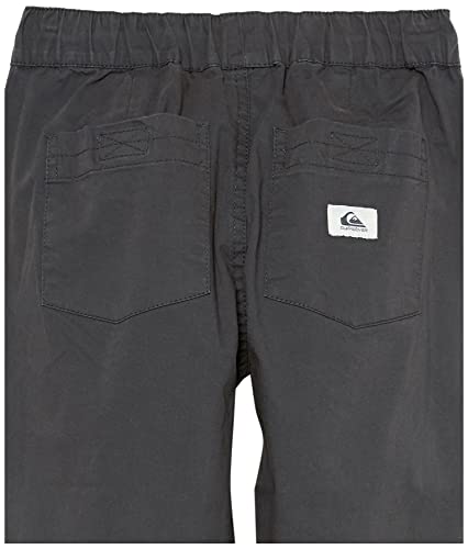 Quiksilver Boys Taxer Beach Cruiser YTH Pants4