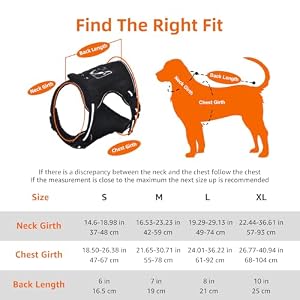 Amazon Basics No-Pull Adjustable Front Clip Working Dog Molle Vest Harness, Black, X-Large Amazon Basics No-Pull Adjustable Front Clip Working Dog Molle Vest Harness, Black, X-Large