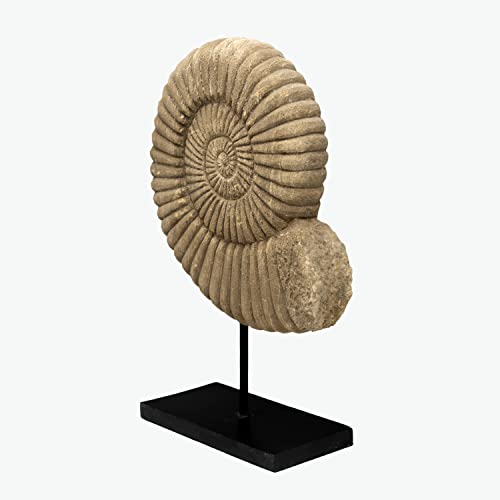 Artissance Am85440005 Stone Nautilus Statue, Natural #TOP1