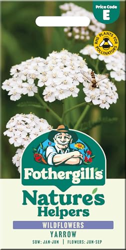 Fothergill's Yarrow Seeds British Wildflower