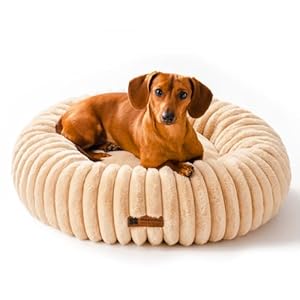 MEWOOFUN Hundebett Mittelgroße Hunde Waschbares – Donut Hundebett mit Rutschfester Unterseite, Hundebetten Großes Katzenbett Flauschig Beruhigendes Anti-Angst, Kamel 64x64cm