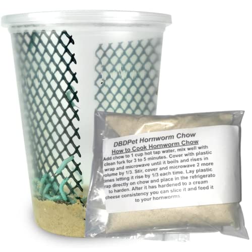 25-30 Live Hornworms by DBDPet - Enough Food to Grow to About 1-1/2 to 2