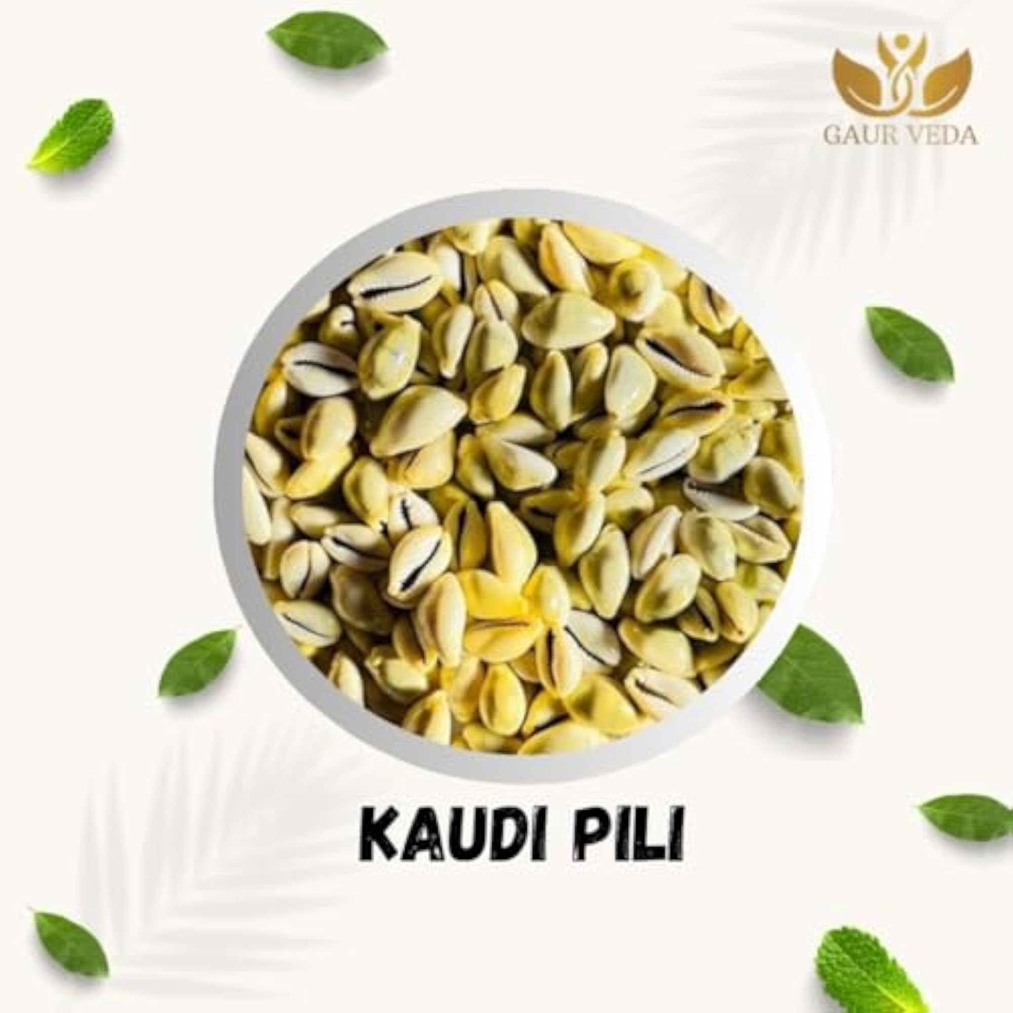 Yellow Kaudi (Pack of 11 Pieces) - Pure Kowdi Safed