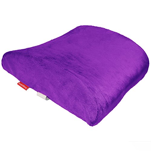 Bookishbunny Premium Memory Foam Lumbar Support Cushion Pillow (Purple) #TOP1