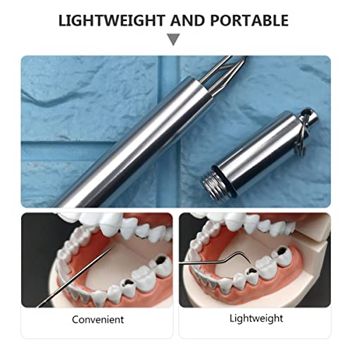 Healvian 2 Sets Personal Toothpick Toothpicks Teeth Holder Stick Picks Reusable Kit Tools Oral Picnic Supplies Metal Silver Care With Clean Outdoor Picking Straight For Camping Of #TOP7