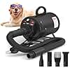 High-Velocity Dog Dryer for Grooming - Quiet Pet Hair Blow Dryer with Heater, 4 Nozzles & Adjustable Speed - Professional Dog Blower for Large Dogs, Thick Coats & Deshedding
