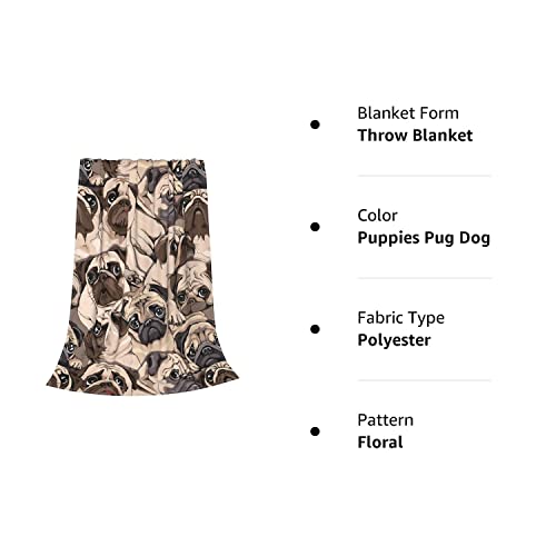 Pug Dog Blanket Throw Bed Blankets Cozy Lightweight Soft Sofa Bedding,Gifts Blanket For Women And Men 60X50 Inch #TOP7
