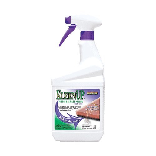 Kleenup W&Amp,Amp,G Rtu 32Oz #TOP20