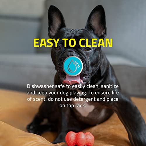 Playology-Dual-Layer-Bone-Toy-for-Large-Dogs-35lbs-up-Engaging-All-Natural-Cheddar-Cheese-Scented-Durable-Dog-Chew-Toy-for-Heavy-Chewers-Easy-to-Clean-Interactive-Non-Toxic - Cucciolini Doodles   Playology-Dual-Layer-Bone-Toy-for-Large-Dogs-35lbs-up-Engaging-All-Natural-Cheddar-Cheese-Scented-Durable-Dog-Chew-Toy-for-Heavy-Chewers-Easy-to-Clean-Interactive-Non-Toxic