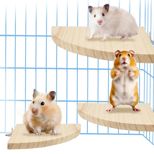 Yingcen 3Pcs Piattaforme per Criceti Piattaforma di Legno Naturale Criceto Trampolino di Lancio per Pappagalli, Scoiattolo, Porcellino d'India, Criceto (Grande, Medio e Piccolo)