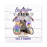 Panneau mural en bois avec fleur de lavande et vélo pour chihuahua, cadeau décoratif pour la maison, le salon, la cuisine, 20,3 x 20,3 cm
