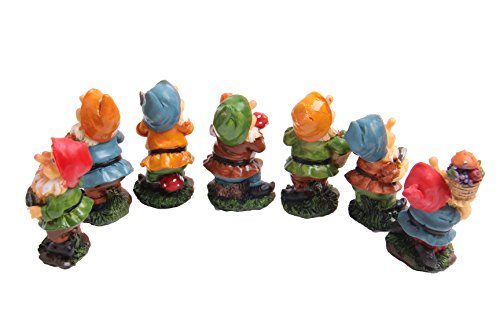Collezione di gnomi da giardino. Statue dei sette