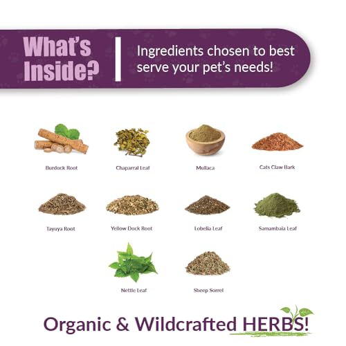 Amber NaturalZ Tumoxil Deep Skin Health Herbal Supplement for Dogs and Puppies | Canine Herbal Supplement for Skin and Metabolism Support | 1 Fluid Ounce Glass Bottle - Thumbnail 3