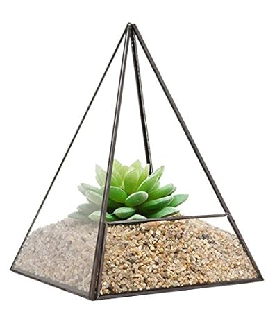 cinagro planter