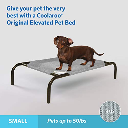 Image of Coolaroo Original Elevated Dog Bed - Breathable Off-The-Ground Pet Bed with Cooling Fabric, Joint Relief & Moisture-Resistant Fabric, 100% Recyclable, Easy Clean, Grey, Small