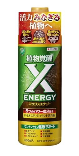 ZFw| oCIXeB~g͉t X-ENERGY(GbNXGiW[)600ml