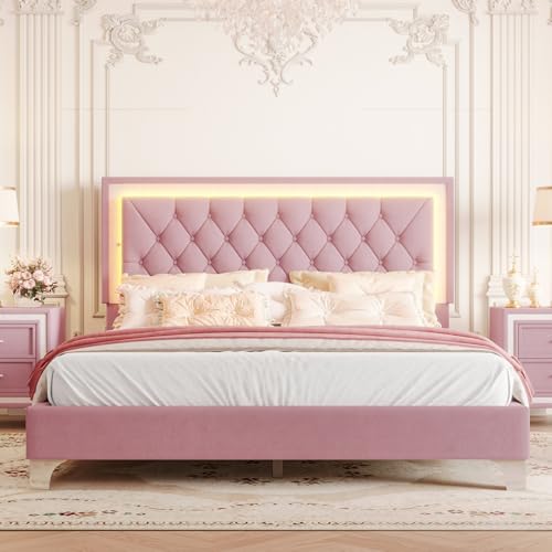 Merax Queen Size Velvet Upholstered Bed Frame with Lights, Elegant Wood Platform Bed with Tufted Headboard, Bear 700LBS (Pink) by Merax - Image 2