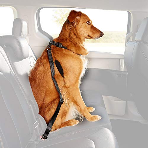 Dogit Car Safety Belt Universal Attachment, Black 25Mm X 55-87Cm (1" X 21.6" - 34.3") #TOP1