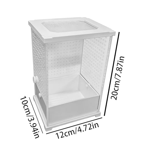 Terrariums sautants et cage en acrylique transparent pour petits reptiles