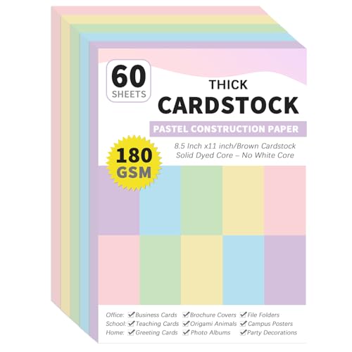 gisgfim 60 Sheets Pastel Cardstock 8.5 X 11 Solid Dyed Core Construction Paper Cardstock 5 Assorted Colors Card Stock Printer Scrapbook Paper 65lb/180gsm for Embossing Printing Invitations DIY Craft