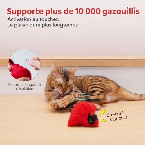 Jouet interactif pour chat avec SilverVine herbe à chat et sons d'oiseaux d'intérieur