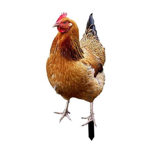 Fenteer Piquet de Jardin Statue de Poule, Statue de Poule en Métal pour Embellir Votre Espace Extérieur, Piquets de Jardin en Forme de Coq, Statue Décorative de Jardin Poule, 33x15.2x0.1cm