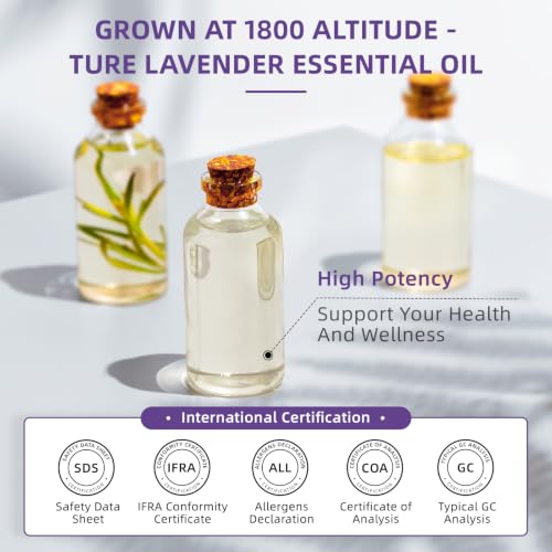 Image of HIQILI 16 fl oz Lavender Essential Oil Large Capacity, for Aromatherapy, DIY Candle & Soap Making, Skin Moisturizing. Suitable for Hotels, DIY Studios, Spas and Hair Salons