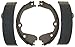 Raybestos 973PG Professional Grade Drum Brake Shoe Set