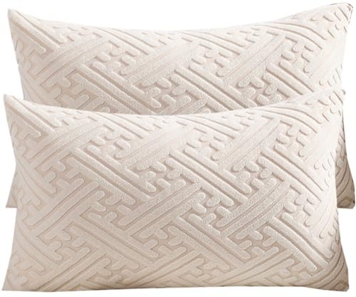 枕カバーを投げる 45x45 2 つの正方形のソファのクッション カバーのセット、装飾的なクッション カバー 40x60 50x80 長方形の投球枕カバー、家のためのクッションケース(Beige,50x70cm(Set of 2))