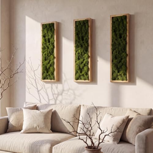 SiliFine 3 Pack Green Moss Wall Art Decor Panels, 16.5''x4.7", Moss Green | Vertical Wood Frame Preserved Moss Wall Decor, Natural Wood Art for Home Office Living Room Bedroom Hallway, Ready to Hang