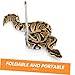 LIOOBO Snake Catcher Accessory Stainless Steel Loach Clip Easy Handling Snake for Reptiles