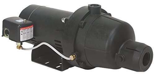 Shallow Well Jet Pump, Plastic, 1 1/2 HP